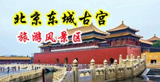 欧美第一草B内射视频中国北京-东城古宫旅游风景区