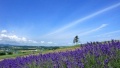 b法国骚逼日本一地6日游  境外旅游 6880元/人